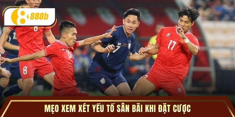 Mẹo xem xét yếu tố sân bãi khi đặt cược