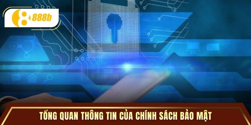 Tổng quan thông tin của chính sách bảo mật